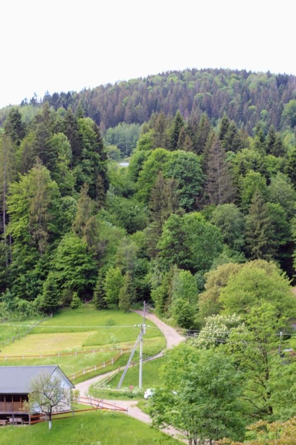 Будиночок Для Щастя Yaremche Luaran gambar